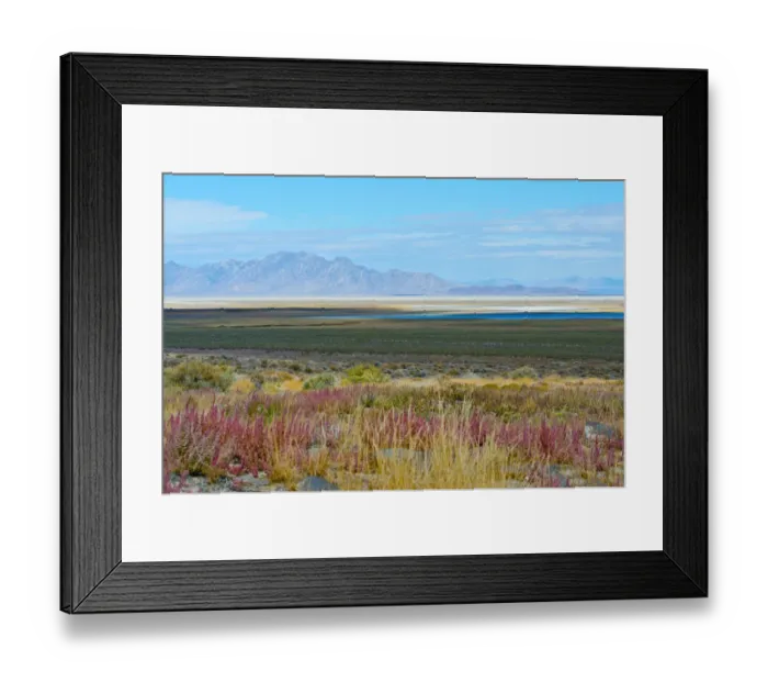 Framed Print : USA, Utah. Pony Express Road, Fish Springs National Wildlife Refuge scenic landscape