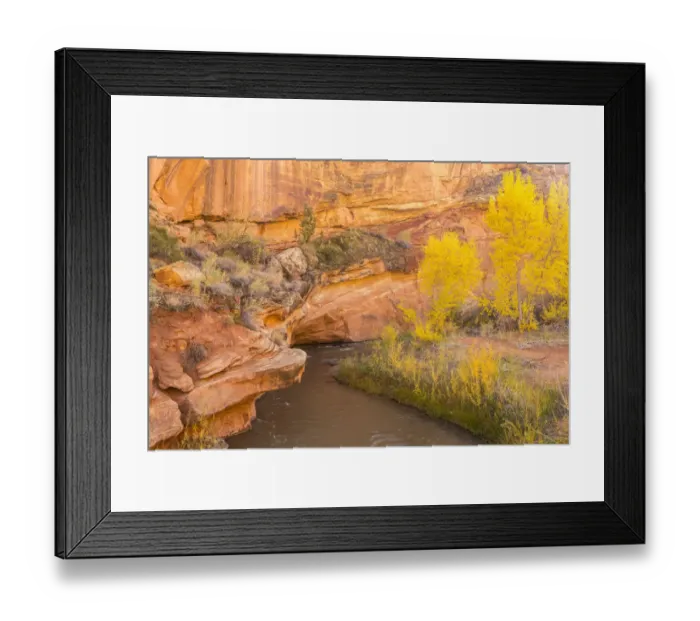 Framed Print : USA, Utah, Capitol Reef National Park. Fremont River and trees in autumn Framed Print : USA, Utah, Capitol Reef National Park. Fremont River and trees in autumn