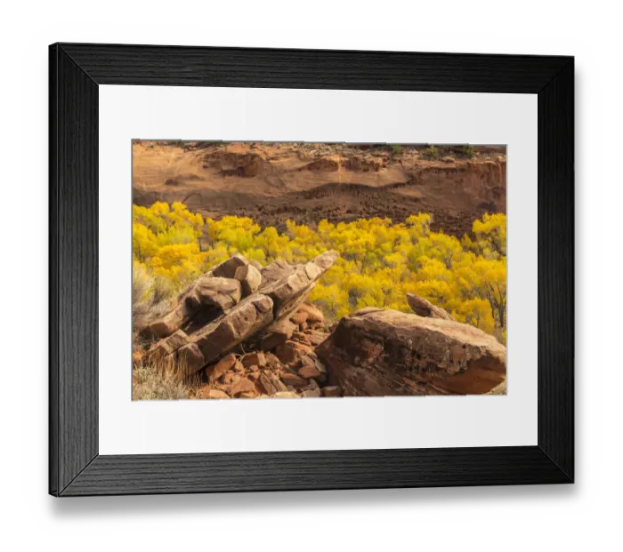 Framed Print : USA, Utah, Grand Staircase-Escalante National Monument. The Gulch and trees in autumn Framed Print : USA, Utah, Grand Staircase-Escalante National Monument. The Gulch and trees in autumn