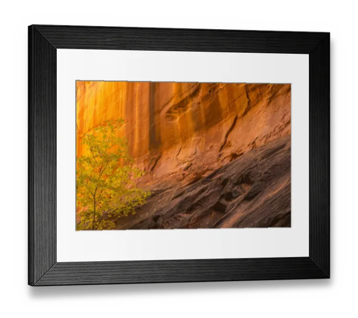 Framed Print : USA, Utah, Grand Staircase-Escalante National Monument. Slot canyon cliff Framed Print : USA, Utah, Grand Staircase-Escalante National Monument. Slot canyon cliff