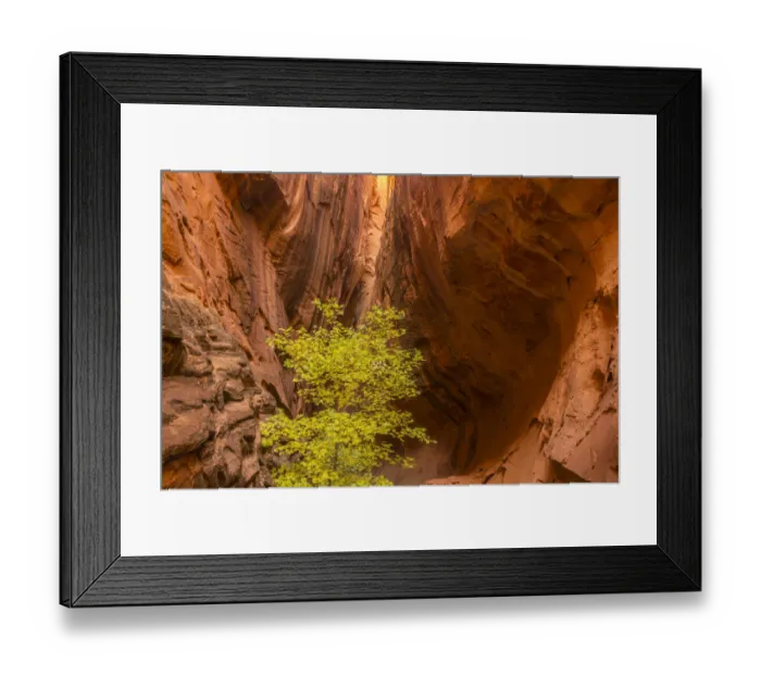 Framed Print : USA, Utah, Grand Staircase-Escalante National Monument. Slot canyon cliff Framed Print : USA, Utah, Grand Staircase-Escalante National Monument. Slot canyon cliff