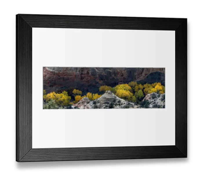Framed Print : USA, Utah. Autumn cottonwoods and sandstone formations in canyon Framed Print : USA, Utah. Autumn cottonwoods and sandstone formations in canyon
