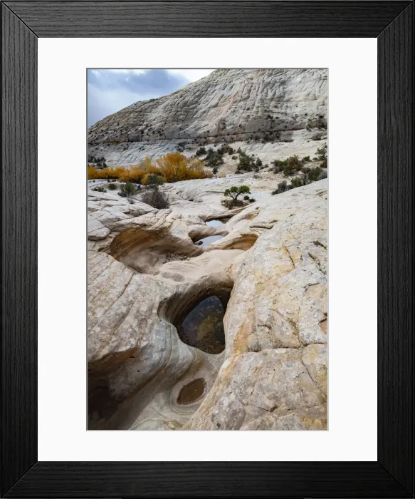 Framed Print : USA, Utah. Waterpockets and autumnal cottonwood trees, Grand Staircase-Escalante National