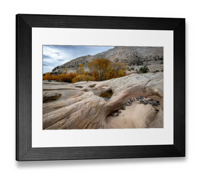 Framed Print : USA, Utah. Waterpockets and autumnal cottonwood trees, Grand Staircase-Escalante National Framed Print : USA, Utah. Waterpockets and autumnal cottonwood trees, Grand Staircase-Escalante National