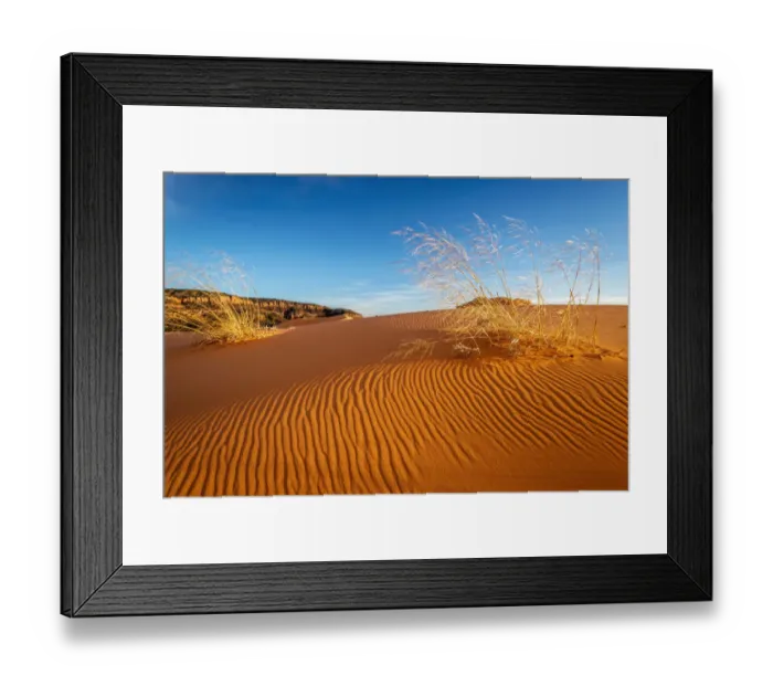 Framed Print : Sand dunes and grass, Coral Pink Sand Dunes State Park, Kane County, Utah, USA Framed Print : Sand dunes and grass, Coral Pink Sand Dunes State Park, Kane County, Utah, USA