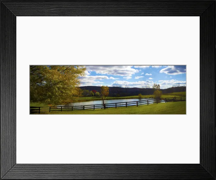 Framed Print : Panoramic scene in the vineyards in Virginia Framed Print : Panoramic scene in the vineyards in Virginia