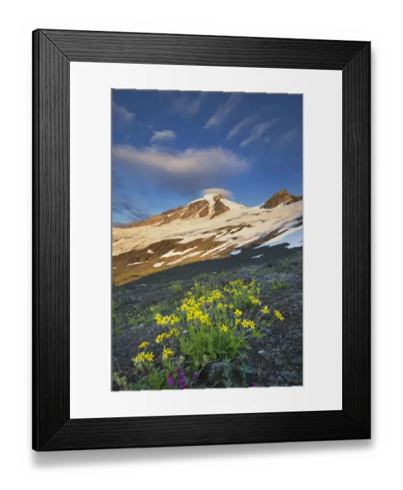 Framed Print : USA, Washington State. Mount Baker (elevation 10, 778 feet, 3 Framed Print : USA, Washington State. Mount Baker (elevation 10, 778 feet, 3