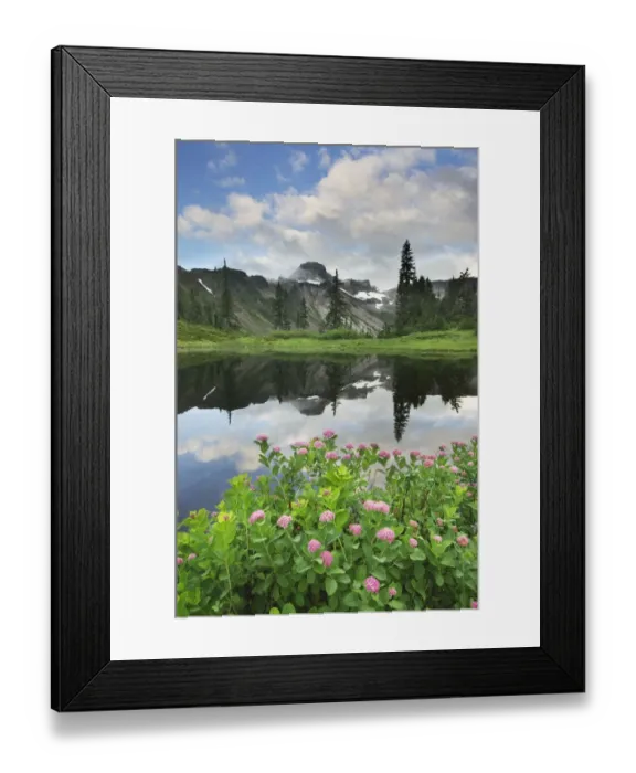 Framed Print : USA, Washington State. Table Mountain reflected in small lake in Heather Meadows Framed Print : USA, Washington State. Table Mountain reflected in small lake in Heather Meadows