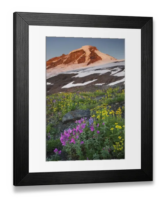 Framed Print : USA, Washington State. Mount Baker (elevation 10, 778 feet, 3