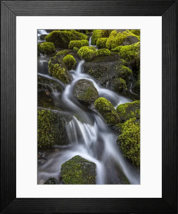 Framed Print : USA, Washington State, Olympic National Park. Cedar Creek scenic Framed Print : USA, Washington State, Olympic National Park. Cedar Creek scenic