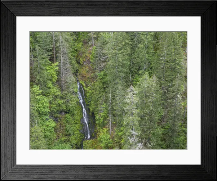 Framed Print : USA, Washington State, Olympic Mountains. View of South Fork Skokomish River Framed Print : USA, Washington State, Olympic Mountains. View of South Fork Skokomish River