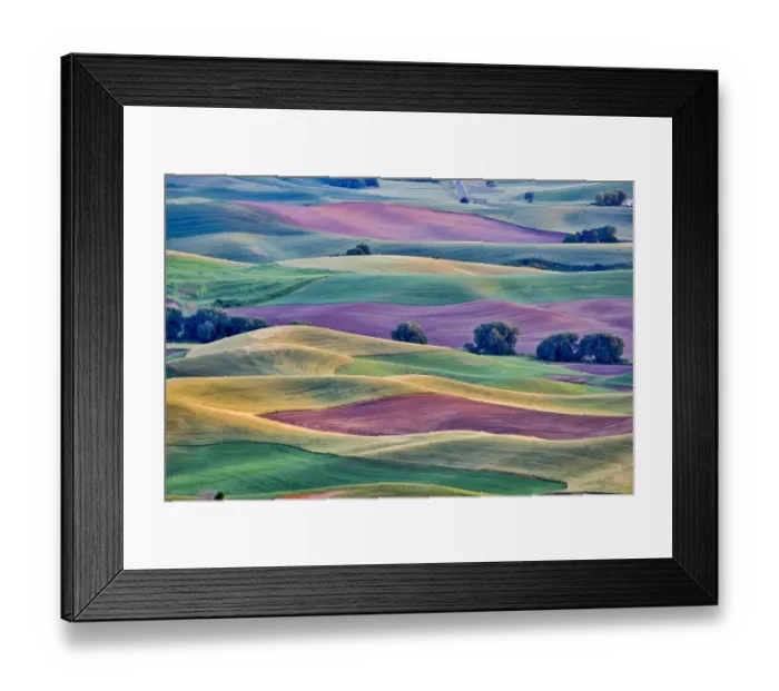 Framed Print : USA, Washington State, Palouse. View from Steptoe Butte
