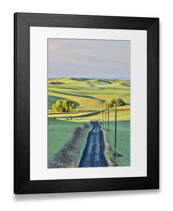 Framed Print : USA, Washington State, Palouse. Rolling hills in Colfax at sunset Framed Print : USA, Washington State, Palouse. Rolling hills in Colfax at sunset