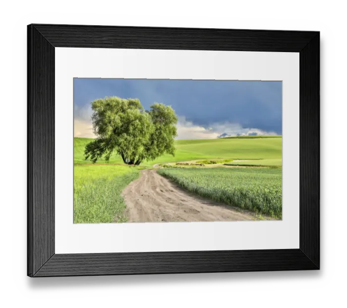 Framed Print : USA, Washington State, Palouse. Storm clouds advancing over Pullman Framed Print : USA, Washington State, Palouse. Storm clouds advancing over Pullman