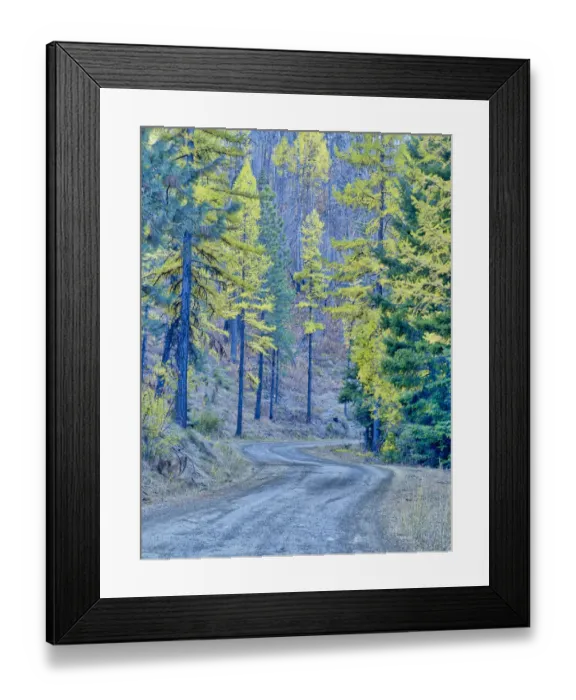 Framed Print : USA, Washington State, Cle Elum, Kittitas County. Forest road through the forest of Framed Print : USA, Washington State, Cle Elum, Kittitas County. Forest road through the forest of