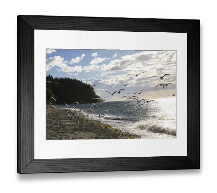 Framed Print : Fort Worden State Park, Post Townsend, Washington State Framed Print : Fort Worden State Park, Post Townsend, Washington State