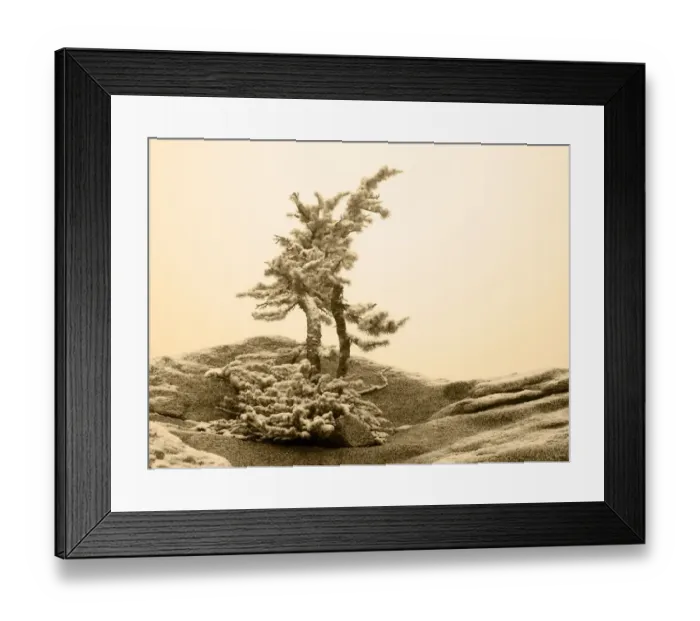 Framed Print : USA, Washington State. Enchantment lakes, larch trees and snow Framed Print : USA, Washington State. Enchantment lakes, larch trees and snow
