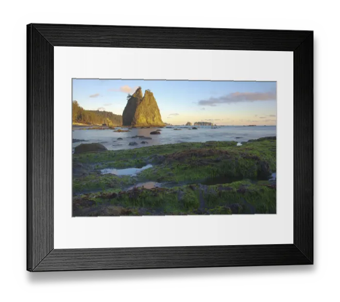 Framed Print : Rialto Beach Olympic National Park in Clallam County, Washington State Framed Print : Rialto Beach Olympic National Park in Clallam County, Washington State