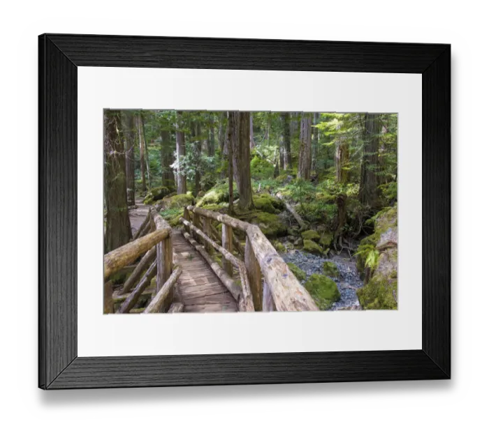 Framed Print : USA, Washington State, Olympic Mountains. Bridge over Lena Creek Framed Print : USA, Washington State, Olympic Mountains. Bridge over Lena Creek