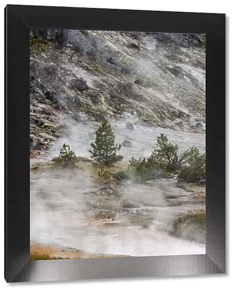 USA, Wyoming. Along the trail, Artists Paintpots, Yellowstone National Park