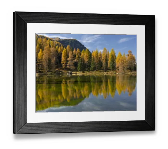 Framed Print : Lago San Pellegrino (Lech de San Pelegrin) during fall at Passo San Pellegrino in Framed Print : Lago San Pellegrino (Lech de San Pelegrin) during fall at Passo San Pellegrino in