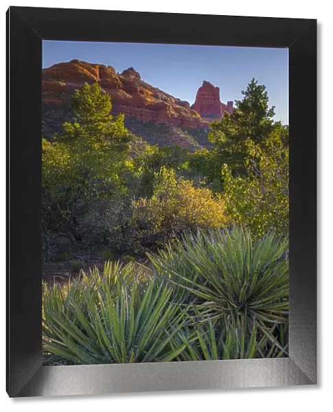 USA, Arizona, Sedona. Landscape with rock formation and cacti