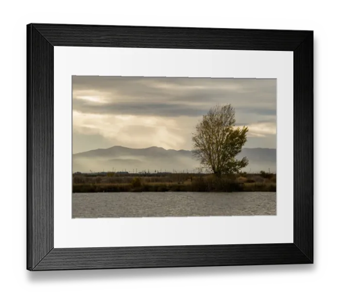 Framed Print : USA, California, Central Valley. San Joaquin River near Firebaugh