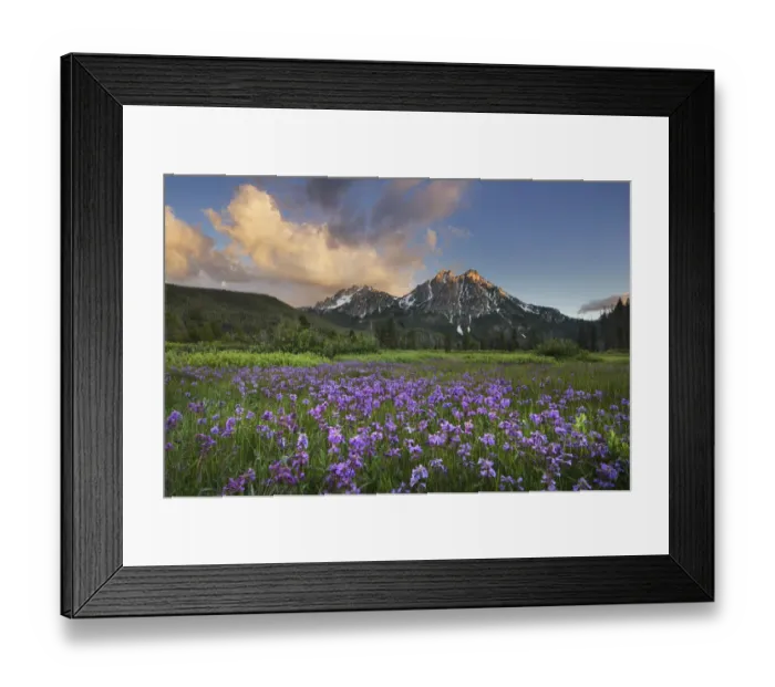 Framed Print : USA, Idaho. McGown Peak Sawtooth Mountains Framed Print : USA, Idaho. McGown Peak Sawtooth Mountains