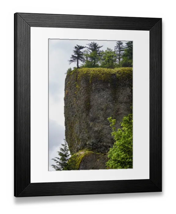 Framed Print : USA, Oregon. Columbia Gorge, conifers on bluff above Oneonta Gorge Framed Print : USA, Oregon. Columbia Gorge, conifers on bluff above Oneonta Gorge