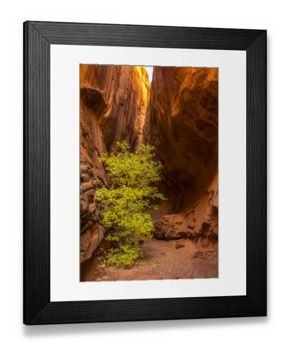 Framed Print : USA, Utah, Grand Staircase-Escalante National Monument. Slot canyon cliff Framed Print : USA, Utah, Grand Staircase-Escalante National Monument. Slot canyon cliff