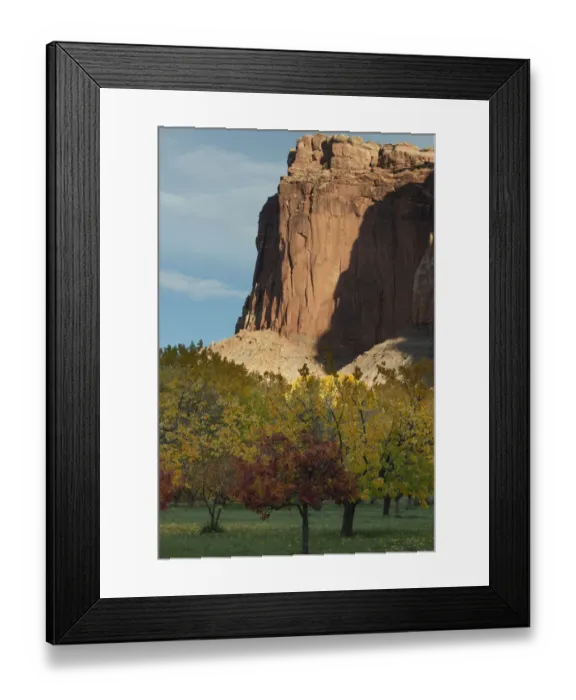 Framed Print : USA, Utah. Sandstone cliff face and orchard, Capital Reef National Park Framed Print : USA, Utah. Sandstone cliff face and orchard, Capital Reef National Park