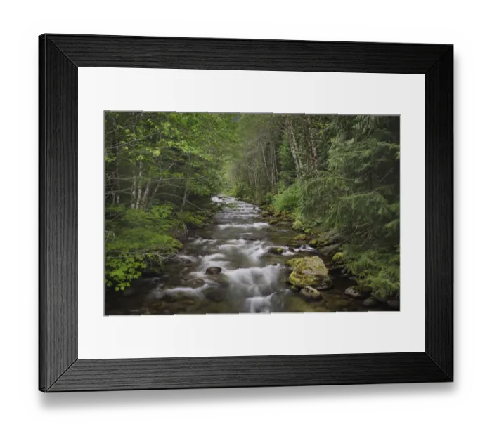 Framed Print : USA, Washington State. Beckler River, Mount Baker Snoqualmie National Forest