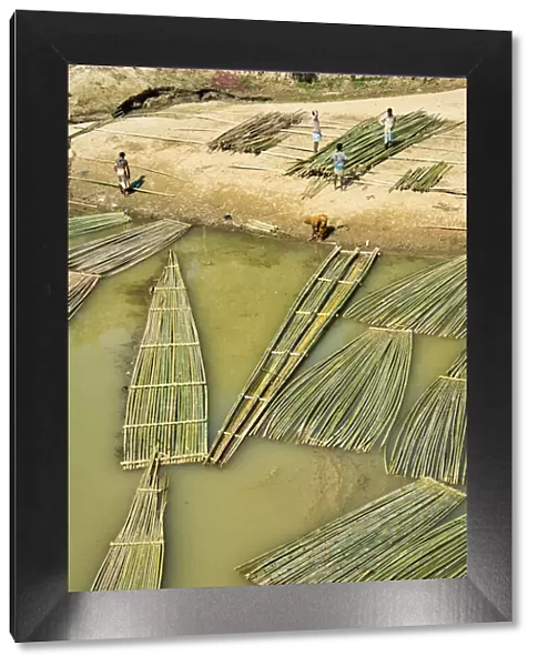Transporting bamboo timber on the river, Chittagong Division, Bangladesh