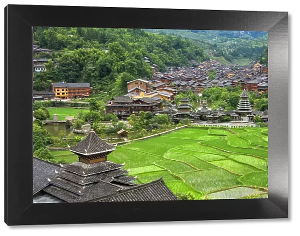 Dong village and rice paddy in the mountain, Zhaoxing, Guizhou Province, China