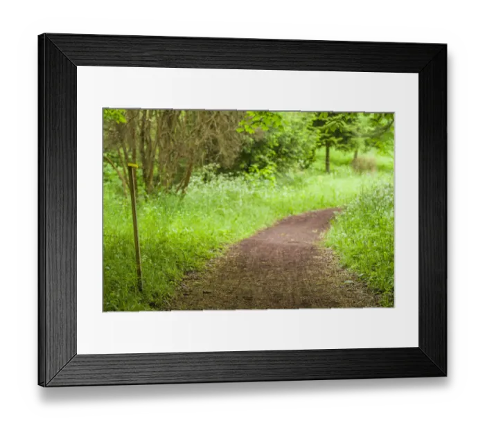 Framed Print : Georgia, Borjomi-Likani. Famous mineral water resort, park path