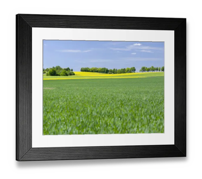Framed Print : Fields in Thuringia near towns of Muehlhausen and Weberstedt, Germany
