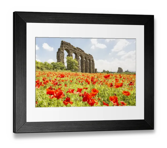 Framed Print : Italy, Rome. Parco Regionale dell Appia, Antica, Park of the Aqueducts Framed Print : Italy, Rome. Parco Regionale dell Appia, Antica, Park of the Aqueducts