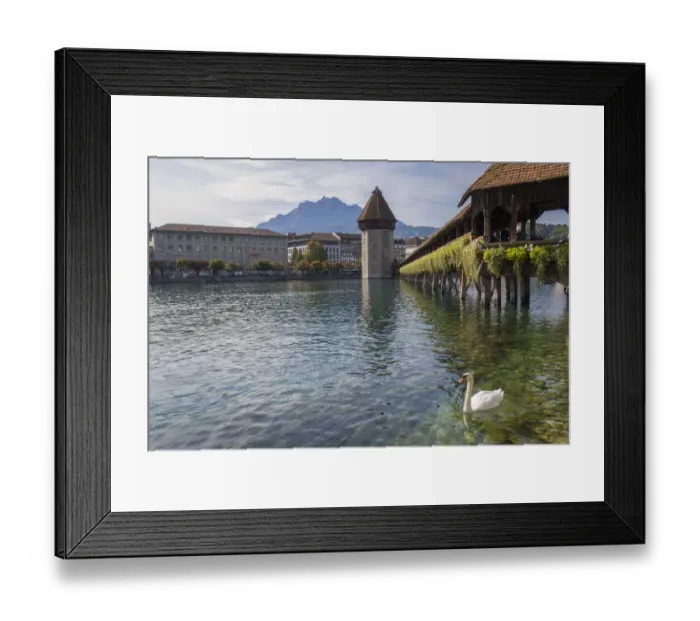 Framed Print : Lake Lucerne, Switzerland. Famous walking bridge and swans in river during the fall