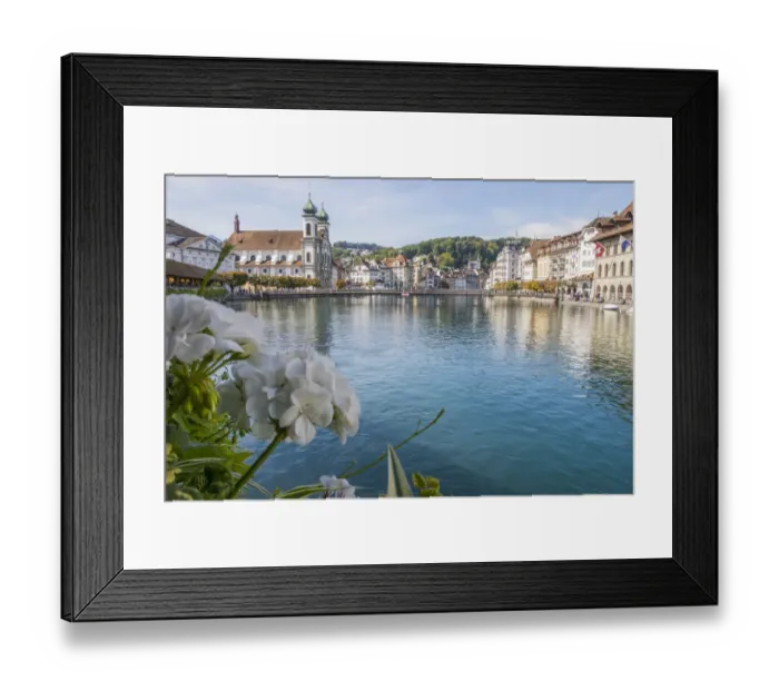 Framed Print : Lake Lucerne, Switzerland. Famous walking bridge and swans in river during the fall Framed Print : Lake Lucerne, Switzerland. Famous walking bridge and swans in river during the fall