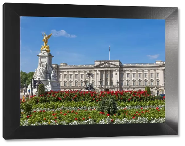 Summer flowers in front of Buckingham Palace in London, United Kingdom