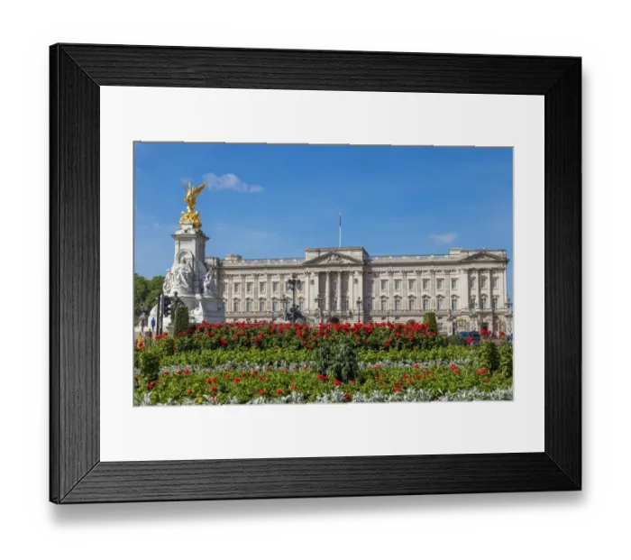 Framed Print : Summer flowers in front of Buckingham Palace in London, United Kingdom Framed Print : Summer flowers in front of Buckingham Palace in London, United Kingdom