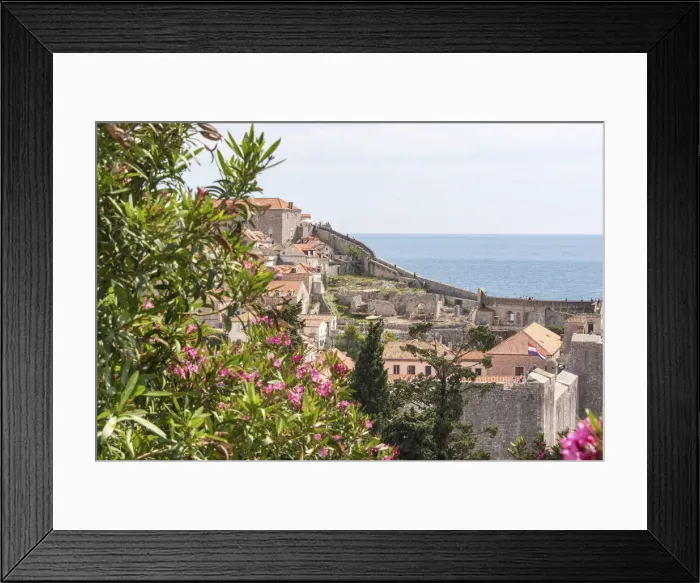 Framed Print : Croatia, Dubrovnik. Walled city old town viewed from hill. Blooming oleander frames Framed Print : Croatia, Dubrovnik. Walled city old town viewed from hill. Blooming oleander frames
