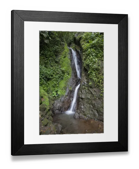Framed Print : Waterfall in Mistico Hanging Bridges Park, Costa Rica Framed Print : Waterfall in Mistico Hanging Bridges Park, Costa Rica