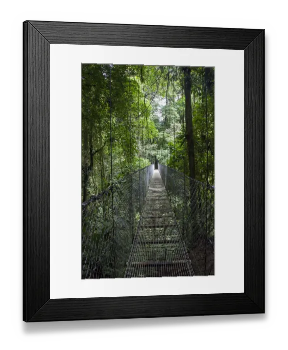 Framed Print : Mistico Arenal Hanging Bridges Park in Arenal, Costa Rica Framed Print : Mistico Arenal Hanging Bridges Park in Arenal, Costa Rica