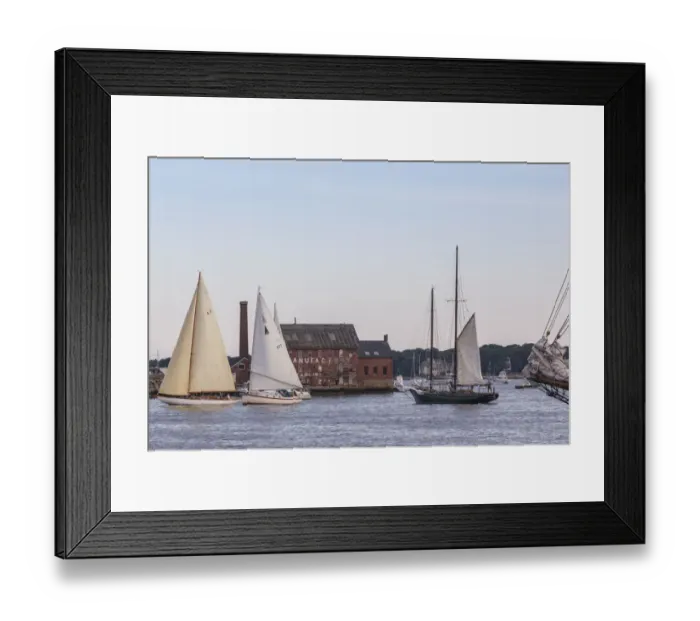 Framed Print : USA, Massachusetts, Cape Ann, Gloucester. Gloucester Schooner Festival