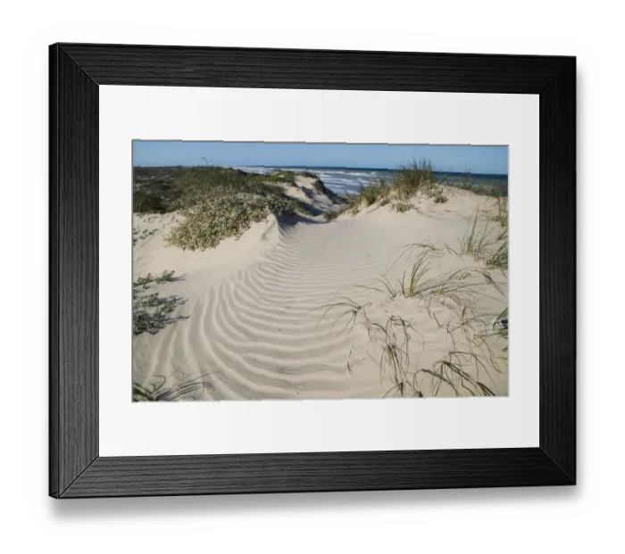 Framed Print : Dunes on South Padre Island Framed Print : Dunes on South Padre Island