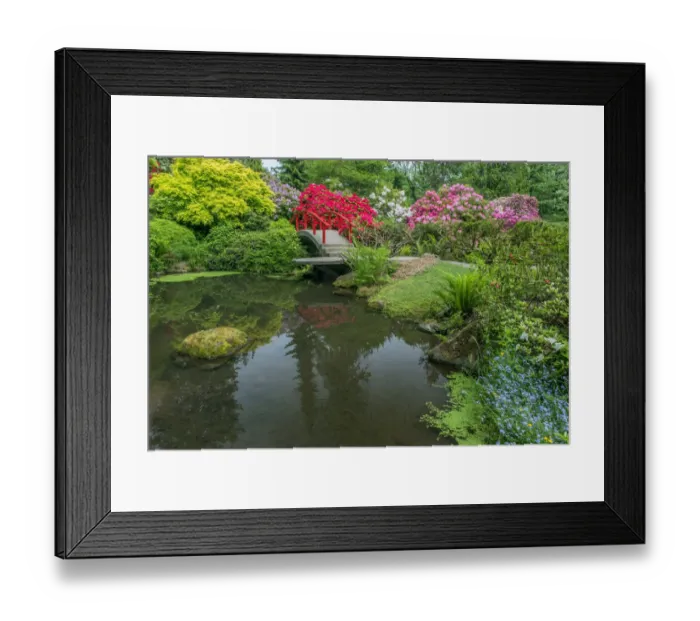 Framed Print : USA, Washington State, Seattle. Kubota Garden Framed Print : USA, Washington State, Seattle. Kubota Garden