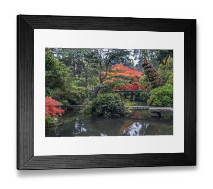 Framed Print : USA, Washington State, Seattle. Kubota Japanese Garden
