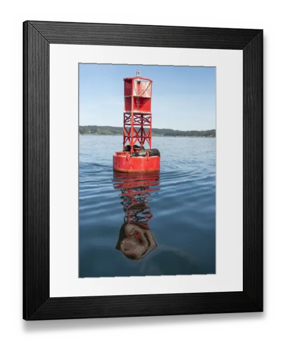 Framed Print : USA, Washington State, Puget Sound. Dali-esque reflection Framed Print : USA, Washington State, Puget Sound. Dali-esque reflection