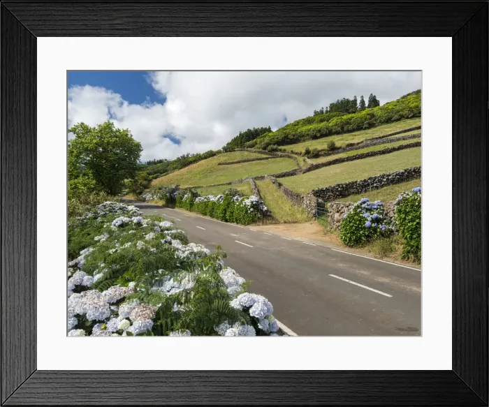 Framed Print : Country road in the interior of the Terceira Island, Azores, Portugal Framed Print : Country road in the interior of the Terceira Island, Azores, Portugal